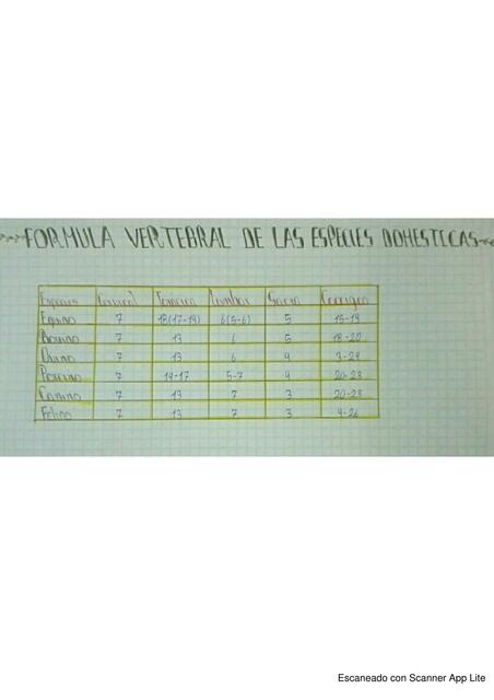 Formula Vertebral de las Especies Domesticas