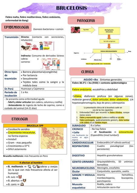 Brucelosis 