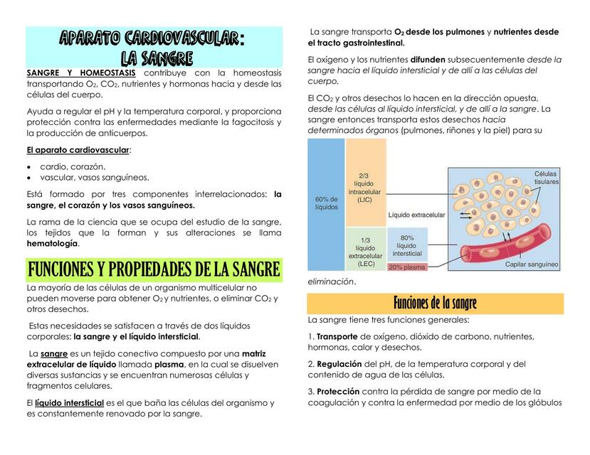 Aparato Cardiovascular: Sangre