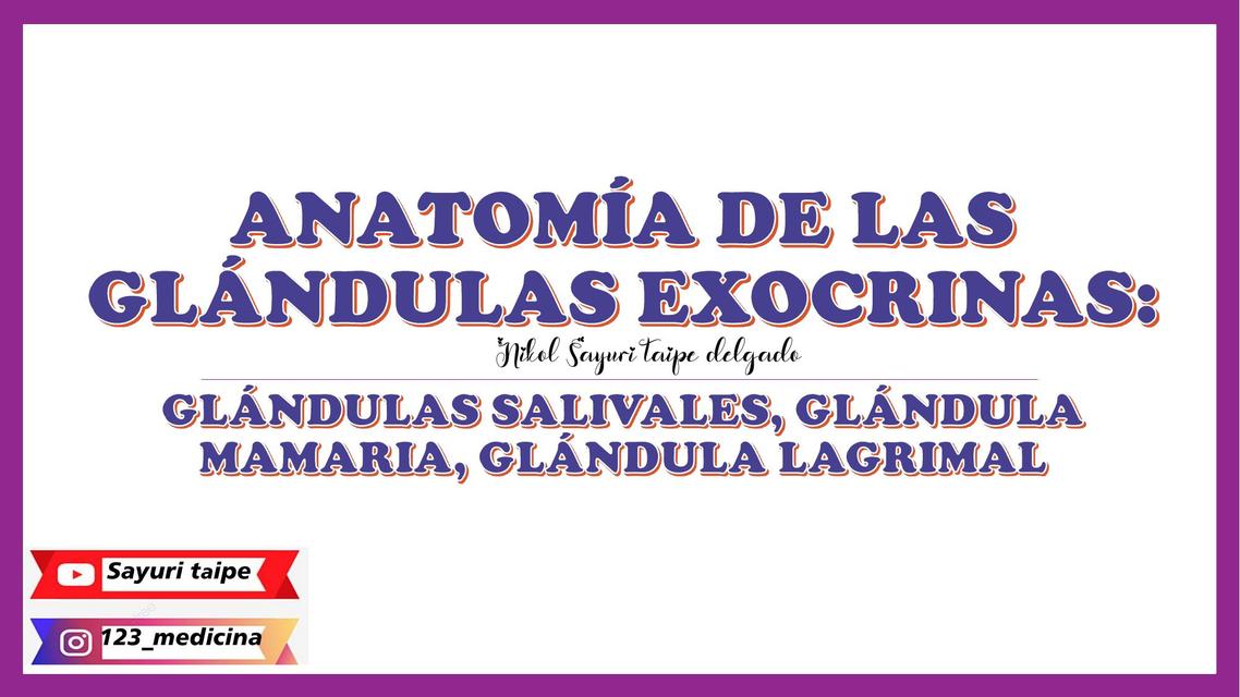 Anatomía de las Glándulas Exocrinas