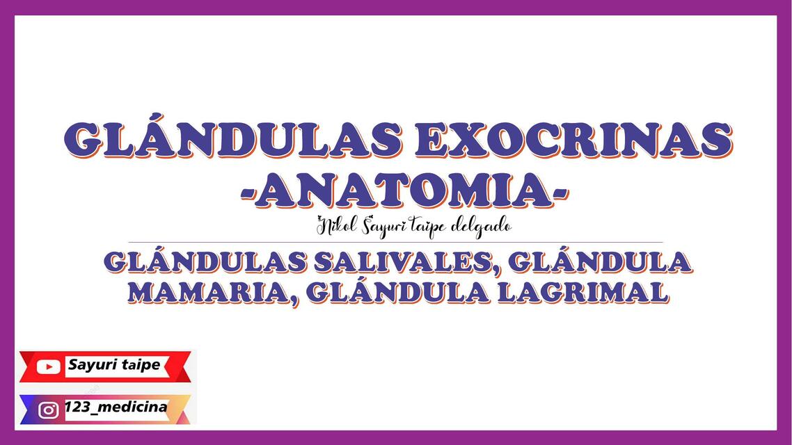 Glándulas Exocrinas- Anatomía 