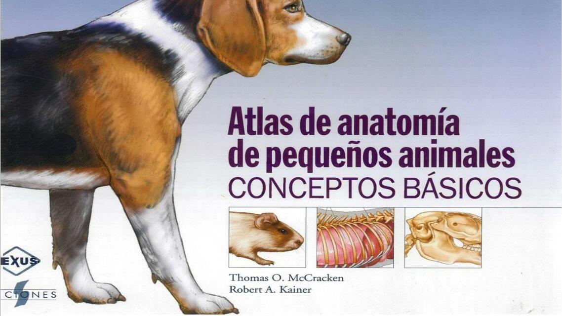 Atlas De Anatomia Radiografica Canina Y Felina