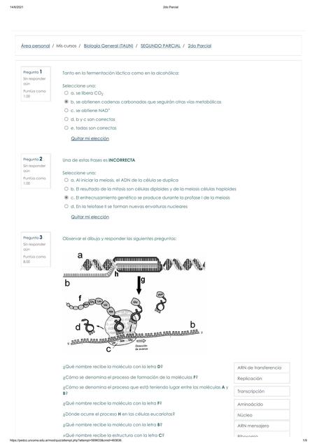 2do Parcial de Biología 