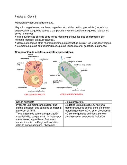 Clase 2 Morfología y Estructura Bacteriana 