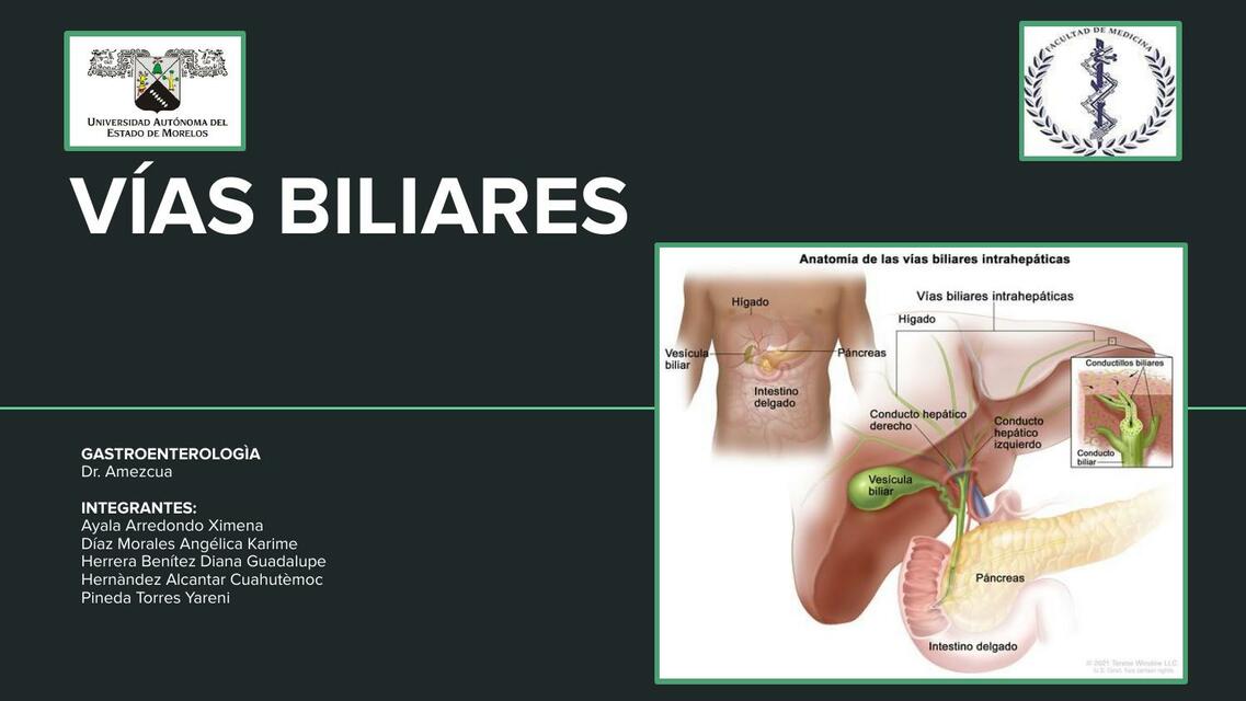 Vias Biliares