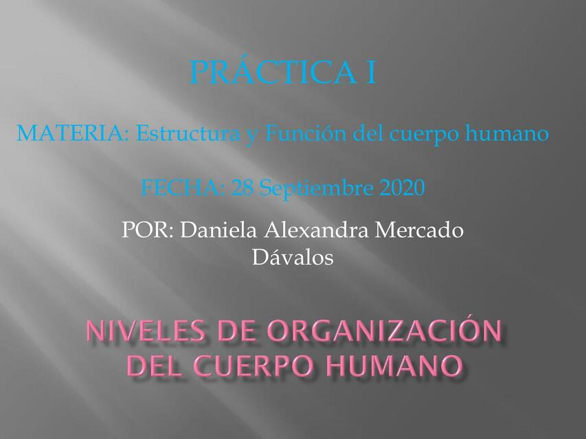 Niveles de Organización del Cuerpo Humano 