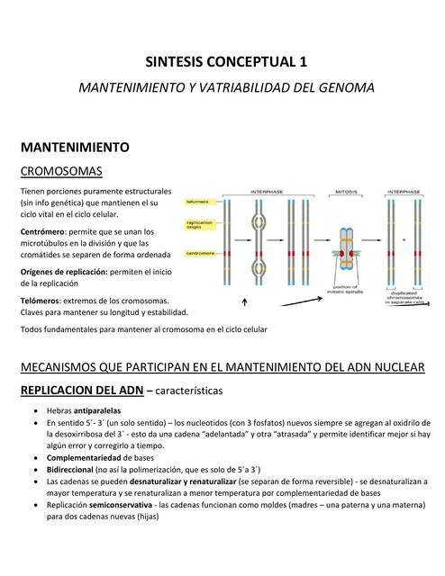 Mantenimiento y Variabilidad