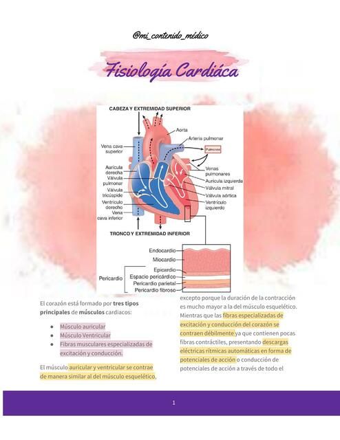 Fisiología Cardíaca 