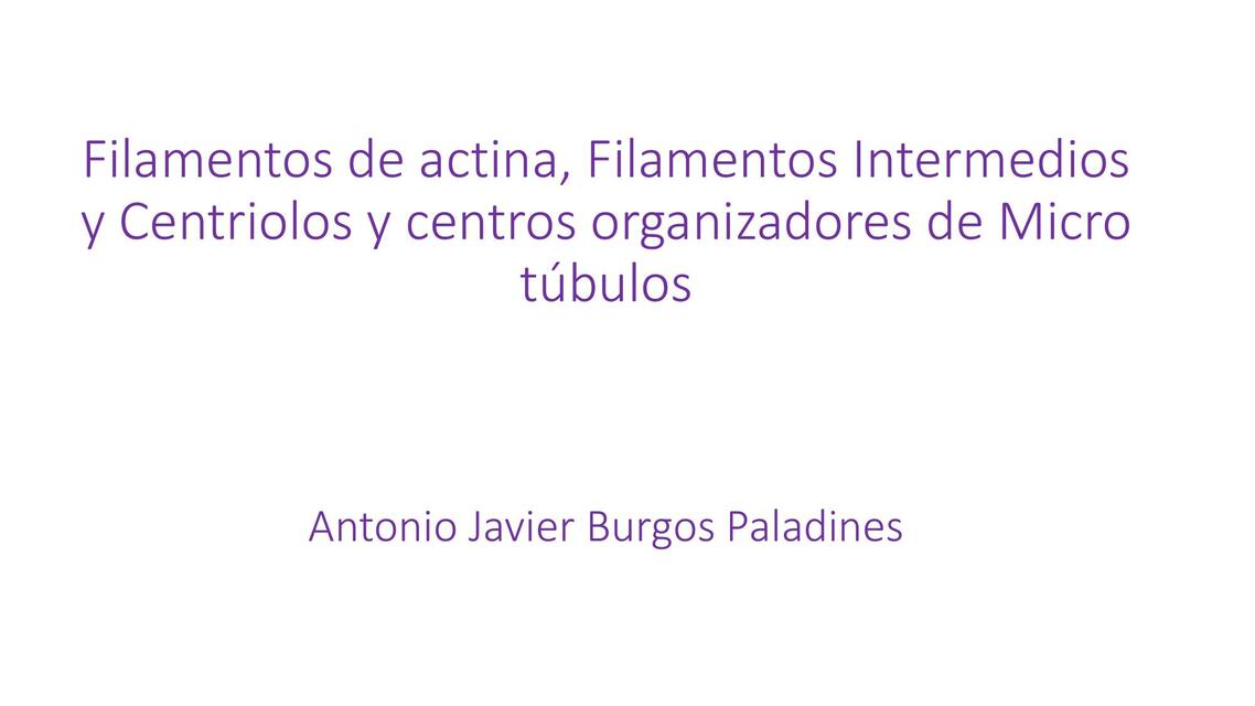 Filamentos de Actina, Filamentos Intermedios y Centriolos