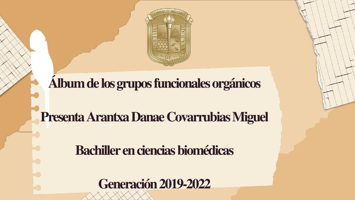 Álbum de los Grupos Funcionales Orgánicos