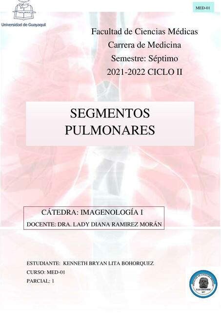 Segmentos Pulmonares 