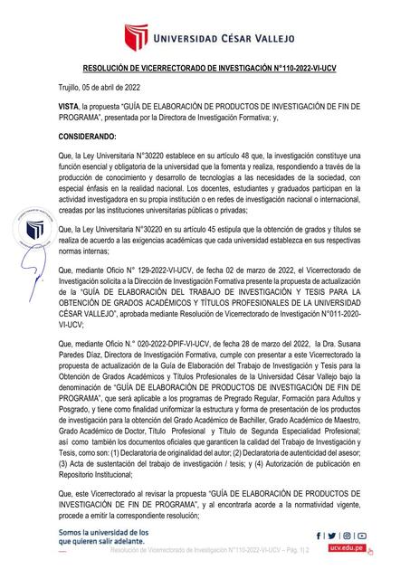 Guía de Elaboración de Productos de Investigación de Fin Programa