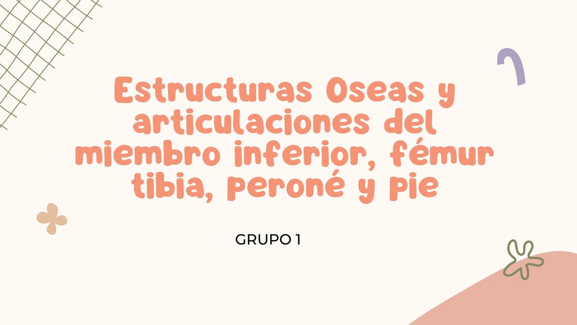 Estructuras Óseas y Articulaciones del Miembro Inferior, Fémur, Tibia, Peroné y Pie