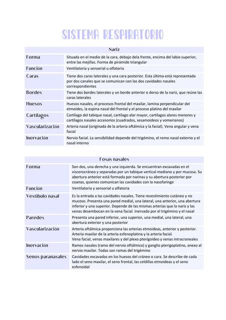 Sistema Respiratorio