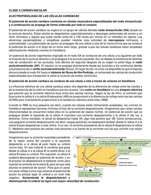 Fisiología Cardiaca