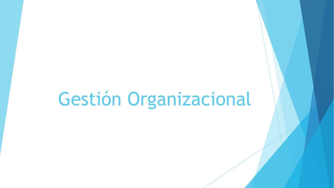 Gestión Organizacional