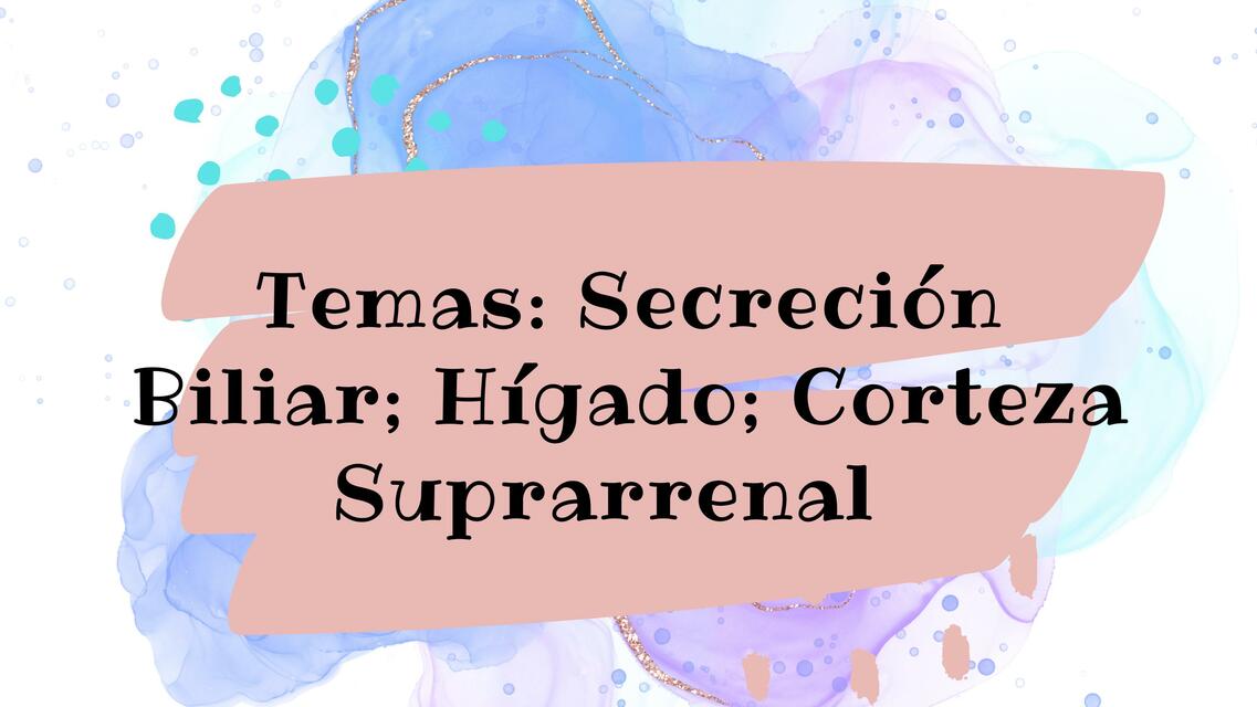 Secreción Biliar; Hígado; Corteza Suprarrenal