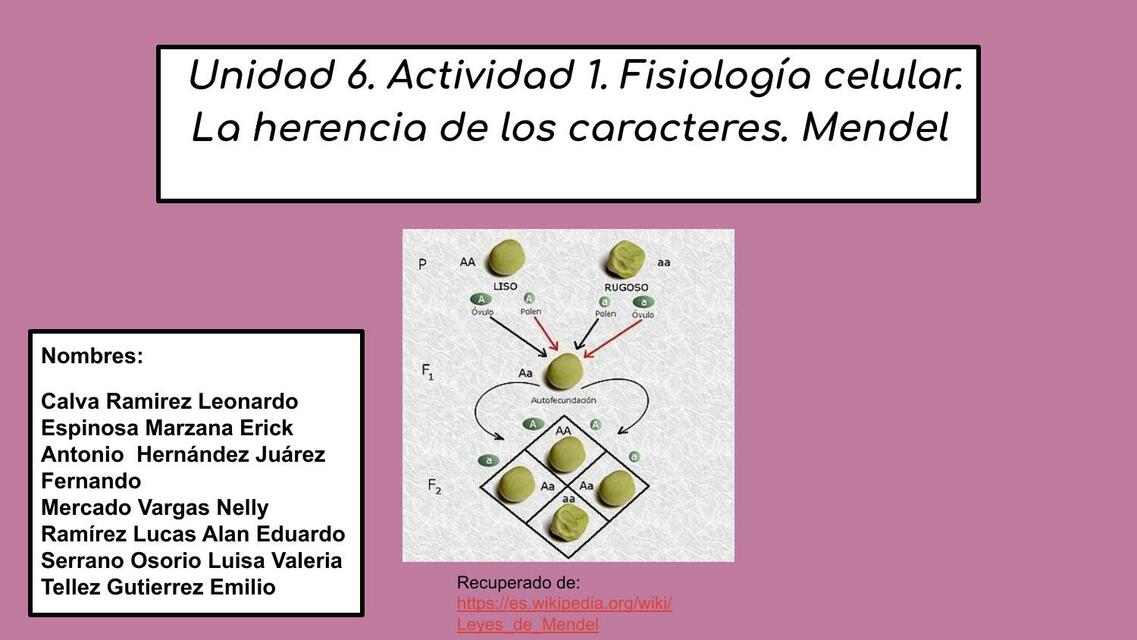 Fisiología celular: La herencia de los caracteres Mendel