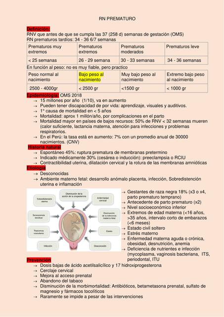 Rn Prematuro Marjhorie Cortés Olano Udocz