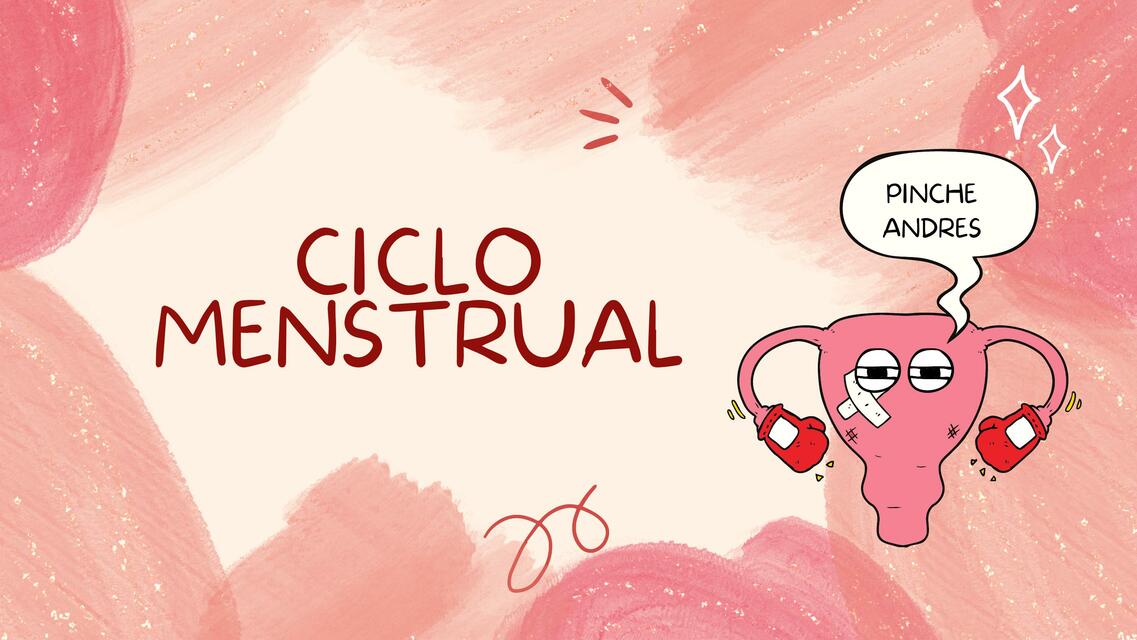 Ciclo Menstrual