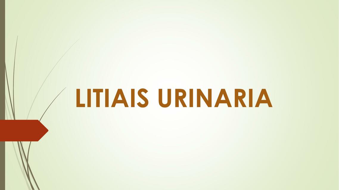 Litiasis Urinaria