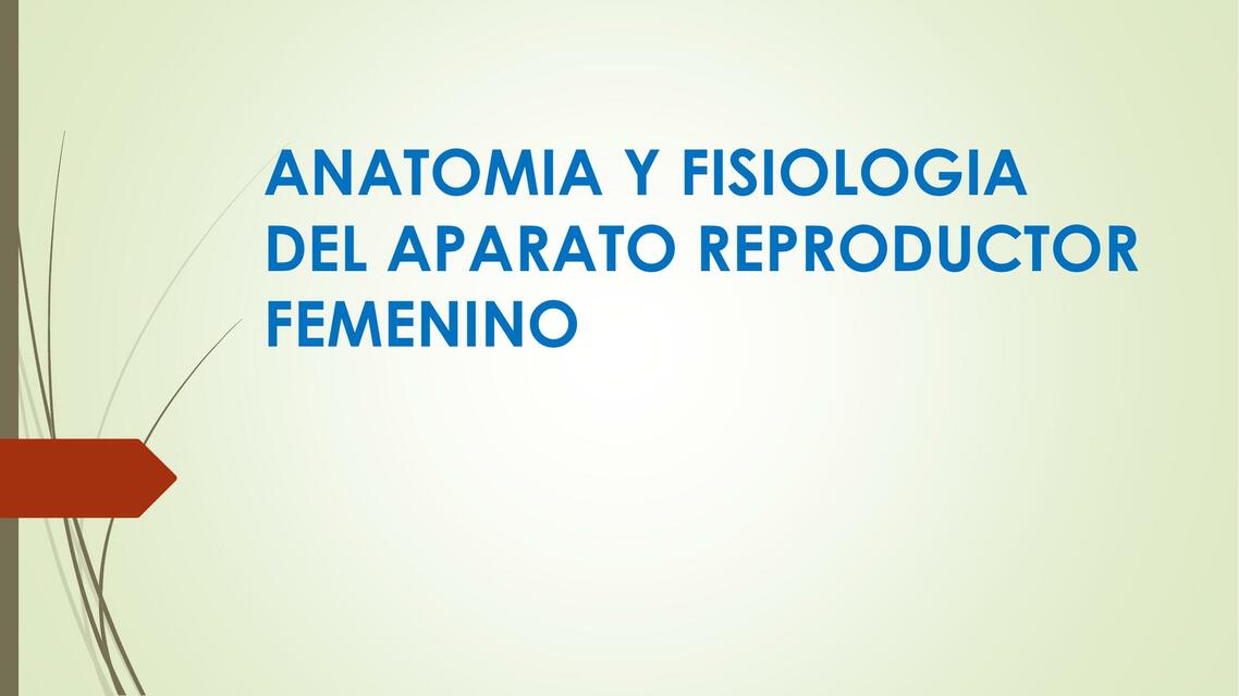 Anatomia y Fisiologia del Aparato Reproductor Femenino