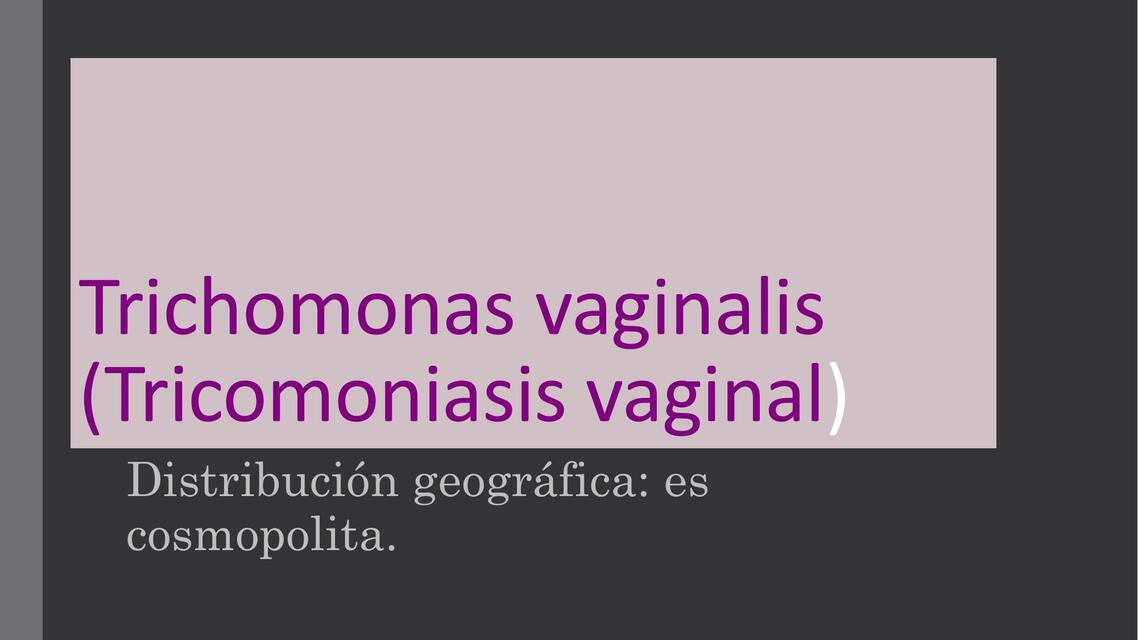 Trichomonas Vaginalis (Tricomoniasis Vaginal)