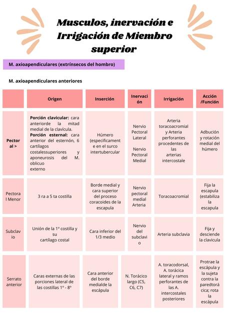 Músculos, Inervación e Irrigación de Miembro Superior 