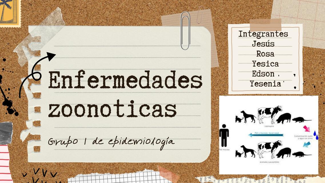 Enfermedades Zoonóticas