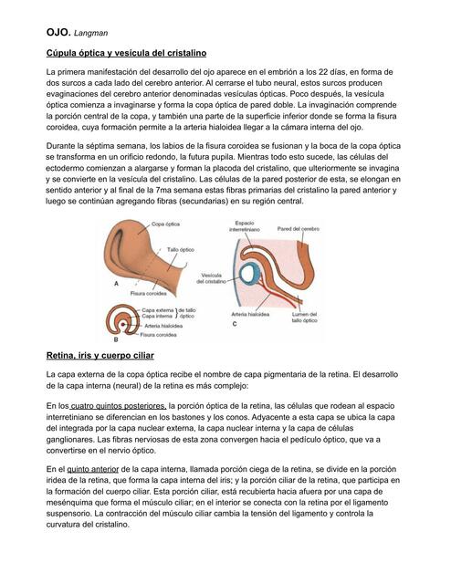 Embriología del Ojo