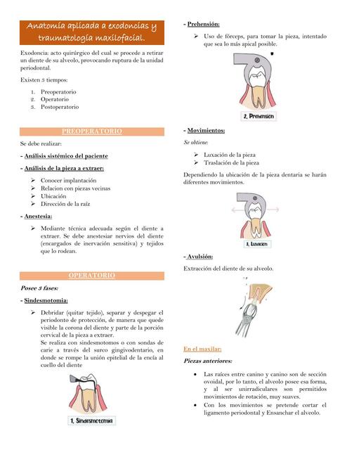 Anatomía Aplicada a Exodoncias y Traumatología Maxilofacial