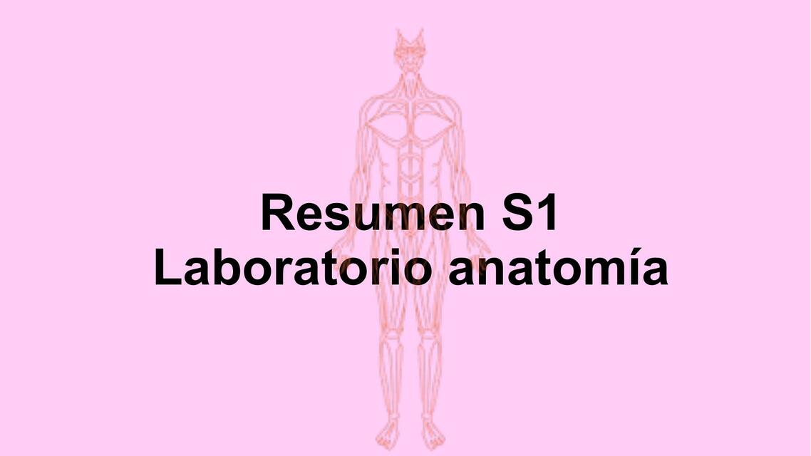 Laboratorio Anatomía Frann Udocz