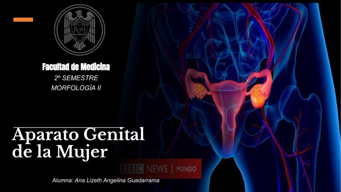 Anatomía del aparato genital femenino