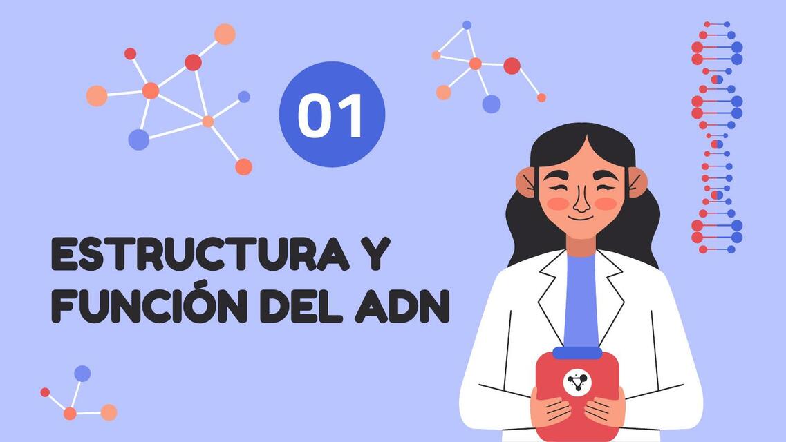 Estructura y Función del ADN 