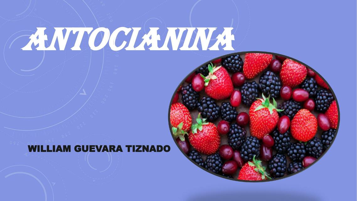 Antocianina 