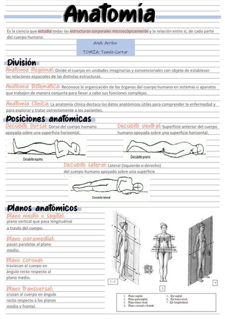 Introducción a la Anatomía