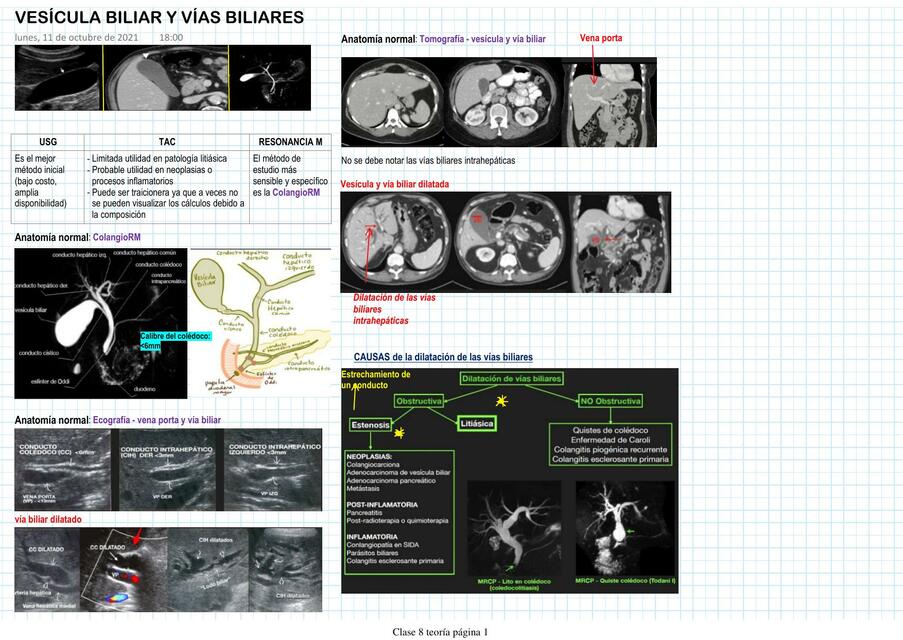 Vesícula Biliar y Vías Biliares 