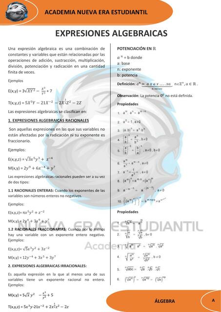 Expresiones Algebraicas 