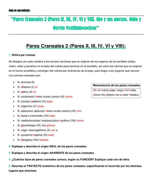 Pares Craneales 2 (Pares II, III, IV, VI y VIII. Ojo y sus anexos. Oído y Nervio Vestibulococlear