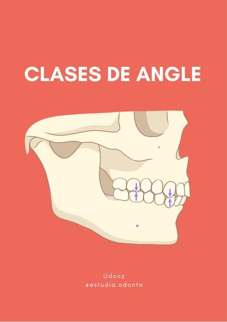 Clases de angle | Estudia Odonto | uDocz