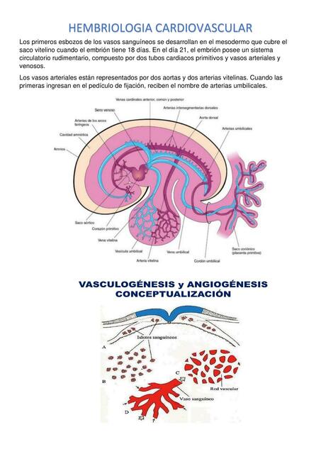 Hemorragia Cardiovascular 