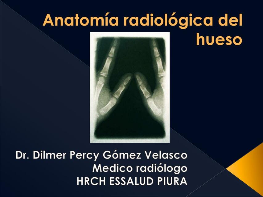 Anatomía Radiológica del Hueso 