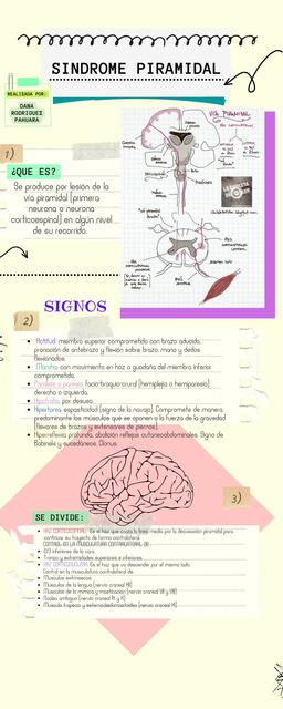 Síndrome Piramidal- Extrapiramida y Cerebeloso 