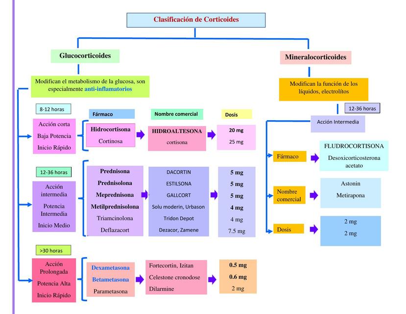 Clasificación de Corticoides 