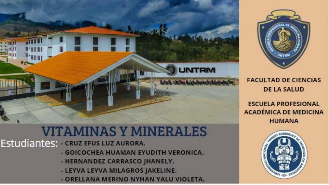 Vitaminas y Minerales 