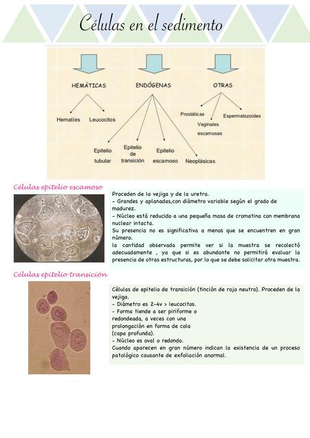 Patología Clínica