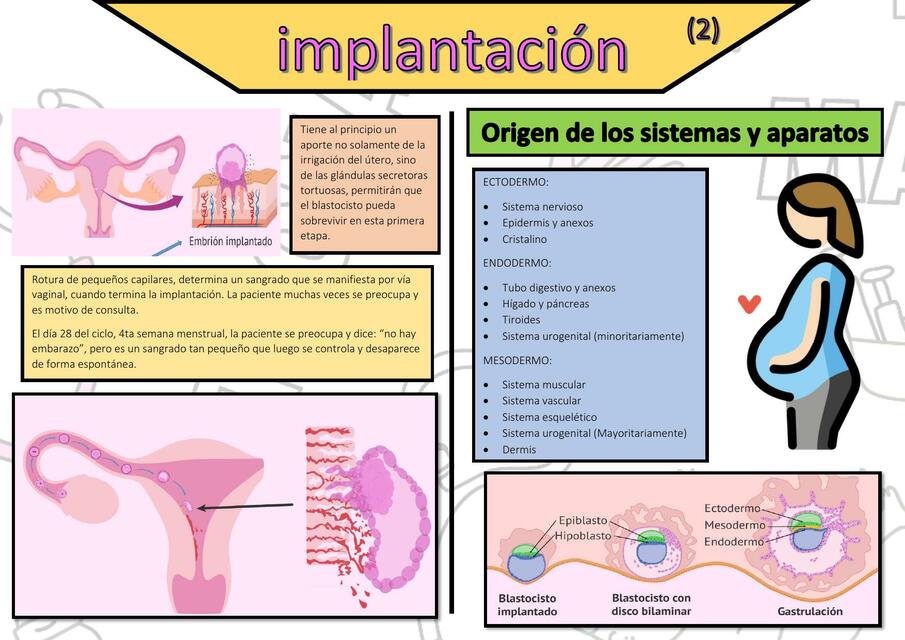 Resúmenes de Vía vaginal | Descarga apuntes de Vía vaginal
