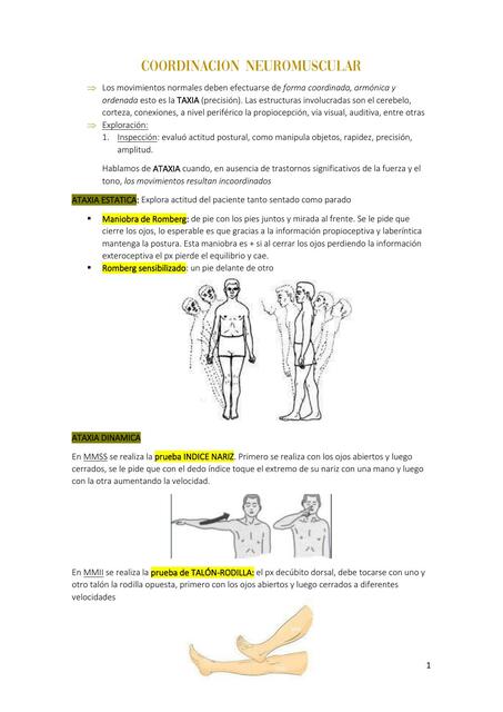 Coordinación Neuromuscular 