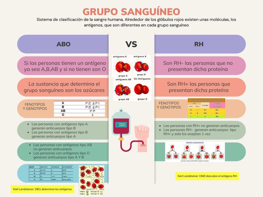 Grupo Sanguíneo 