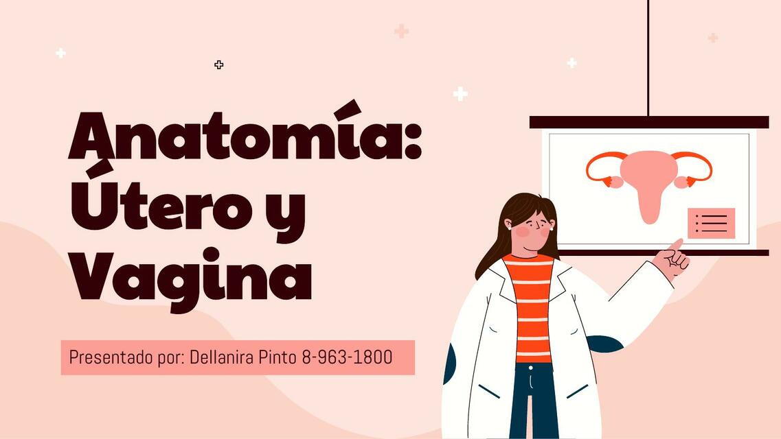 Anatomía Útero y Vagina